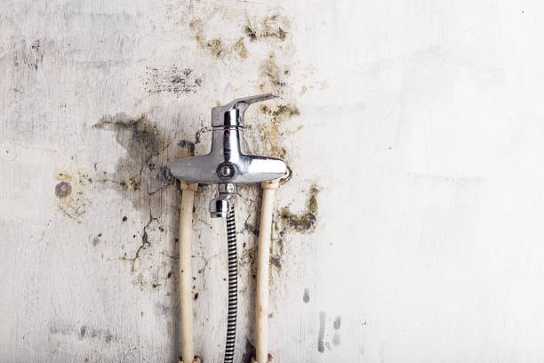 Best Post-Remediation Services in Ulysses, KS